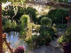 Blick in den Garten